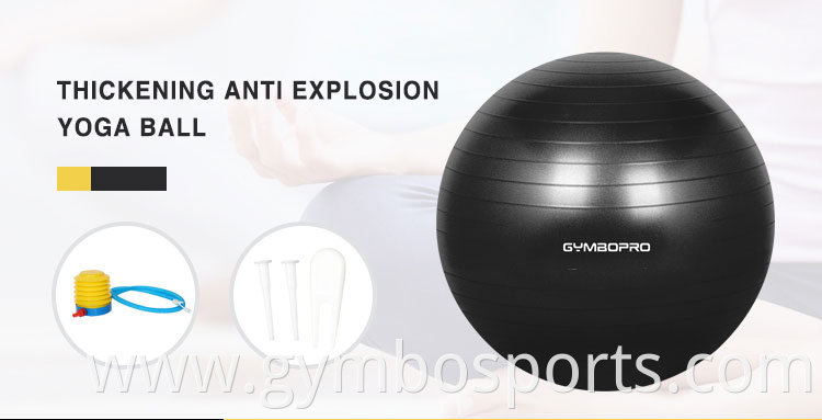 Gym Fitness Ball